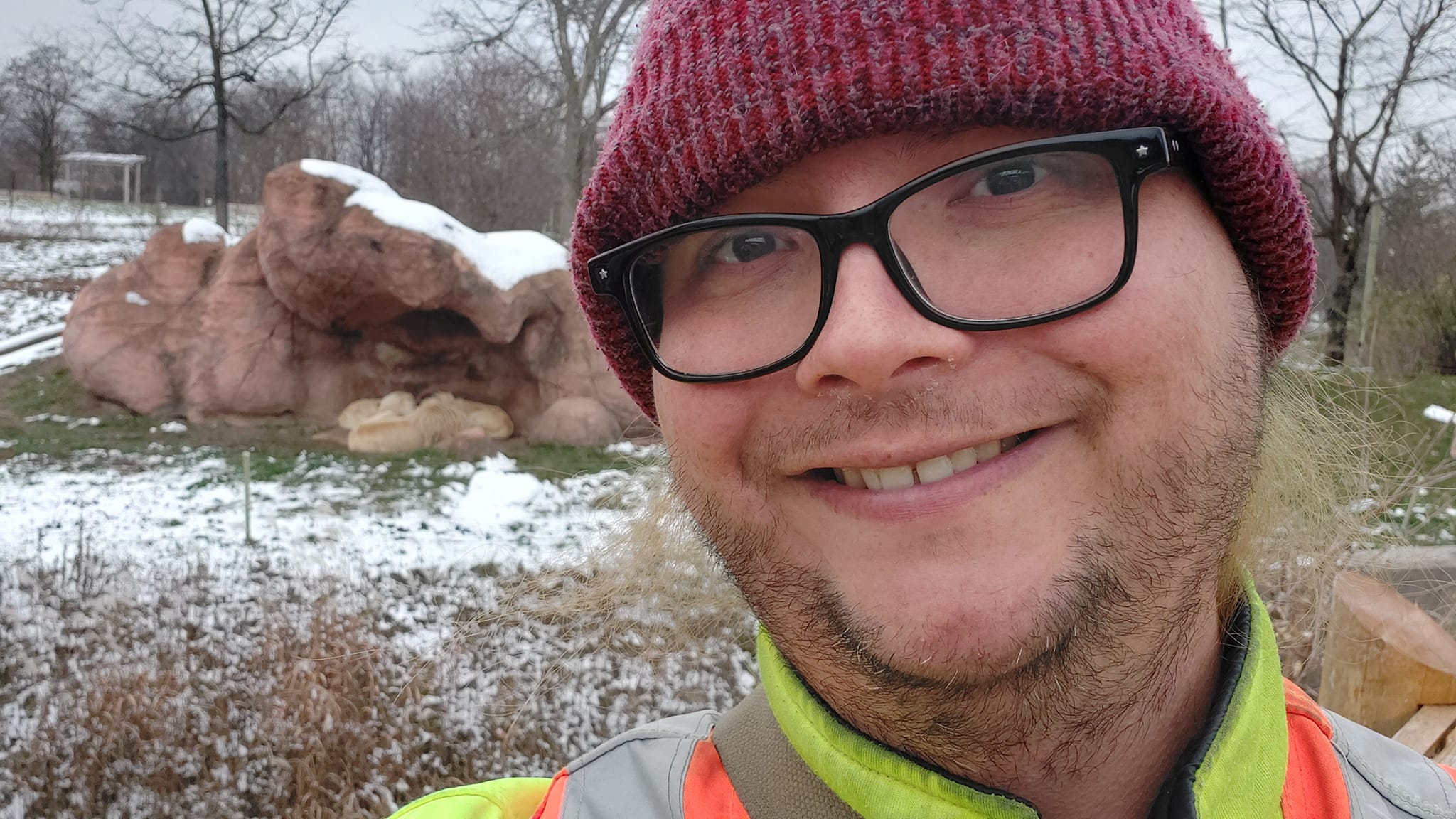 A man wearing a red toque and a high visibility winter coat stands in front of a lion enclosure, several lions are visible in a cuddle pile